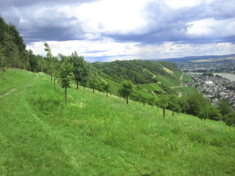 nach_bearbeitung