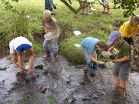 kinder_bach